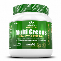 GreenDay® ProVEGAN MultiGreens Vitality&Energy orange 300g
