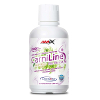 CarniLine® ProFitness 40g 480ml - pineapple