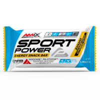 Performance Amix® Sport Power Energy Cake 45g - banana choco chip